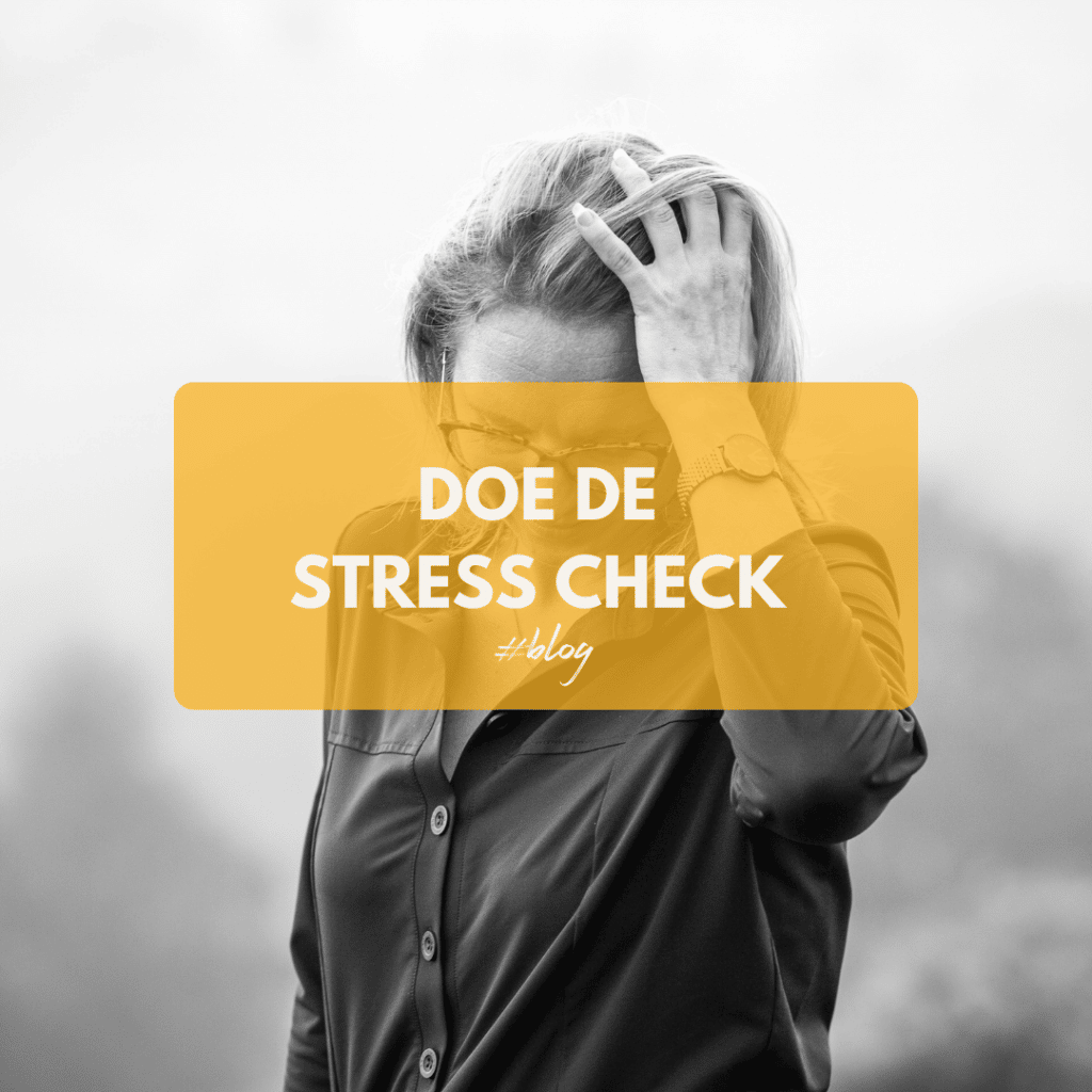 Doe de stress check blog Bureau Delight